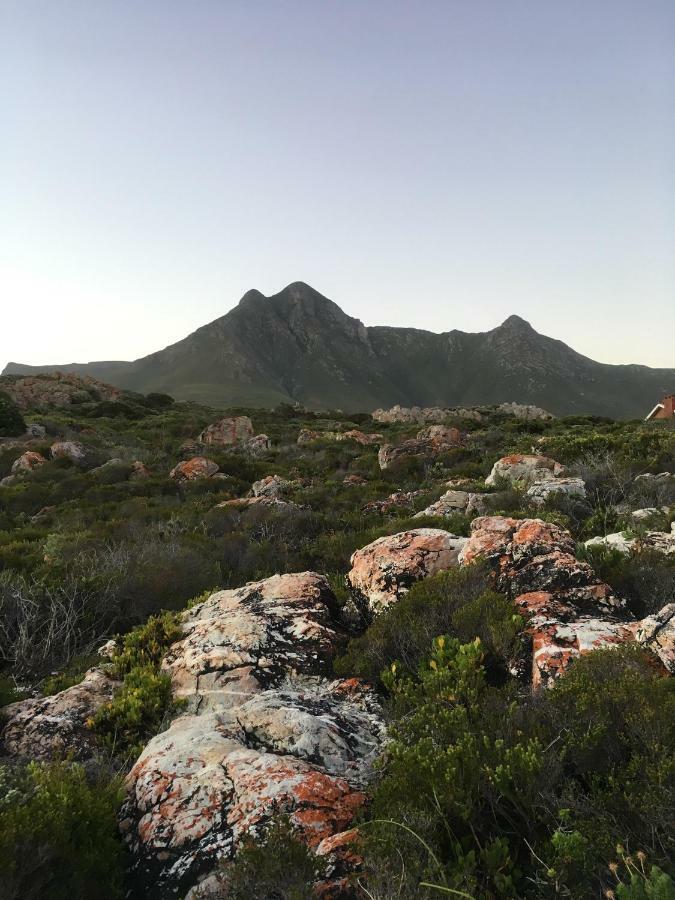 Rondawel With Sea View Lägenhet Kleinmond Exteriör bild