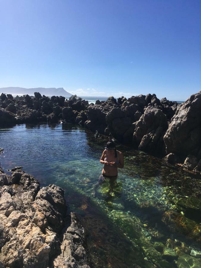 Rondawel With Sea View Lägenhet Kleinmond Exteriör bild